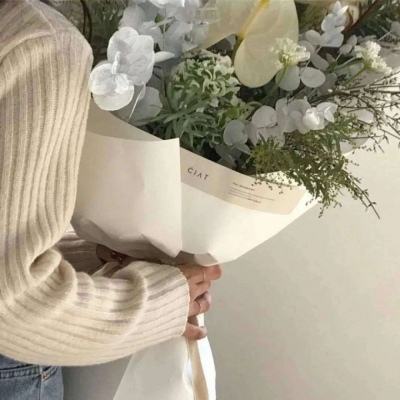 蔡正元入狱前最后一场直播